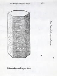 Columna Laterata Exagona Solida, Illustration from 